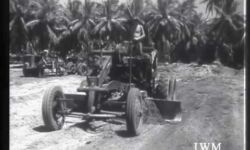 IWM - Clearing The Jungle IWM - Clearing The Jungle